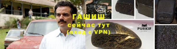 гашик Осташков