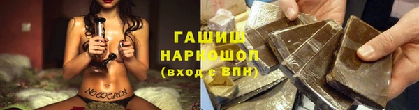 гашик Осташков