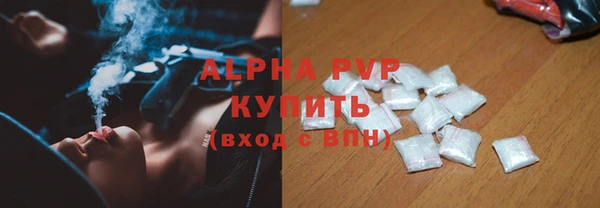 гашик Осташков