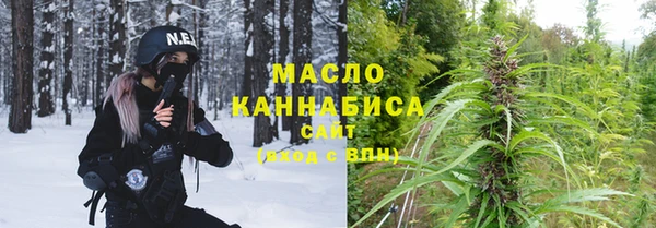 молекула духа Пестово
