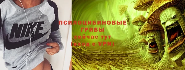 молекула духа Пестово