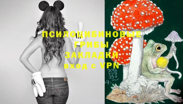 стафф Пересвет