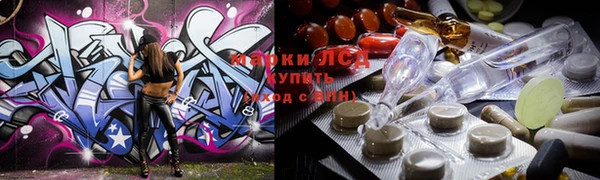 гашик Осташков