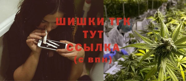 стафф Пересвет