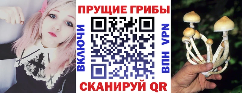 наркотики  mega как зайти  Галлюциногенные грибы мицелий  Тюкалинск 