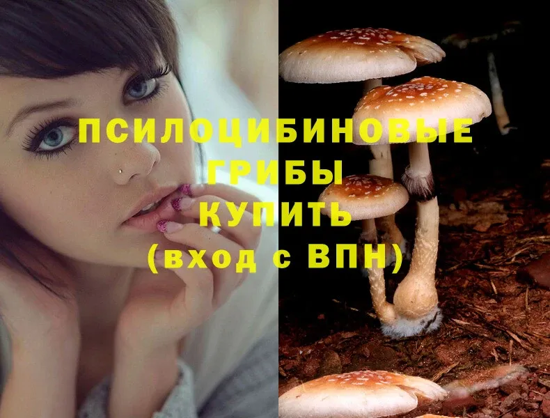 Галлюциногенные грибы Cubensis  Тюкалинск 